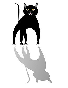 小黑猫的注视