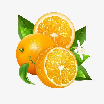 橙子切面png童装洗衣店店铺切面图png卡通房子aipng弹簧床垫切面png