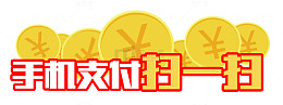 手机支付网银支付扫一扫