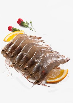 png野生新鲜大虾(800x800)png卡通手绘丰富海洋食材素材(5000x5000)