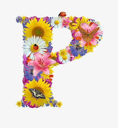 各种鲜花组成的字母P