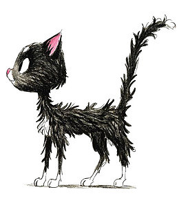 卡通猫