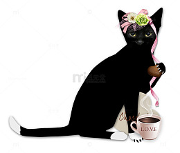 黑猫