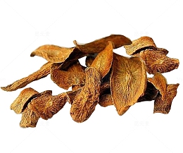 牛蒡茶堆图片素材
