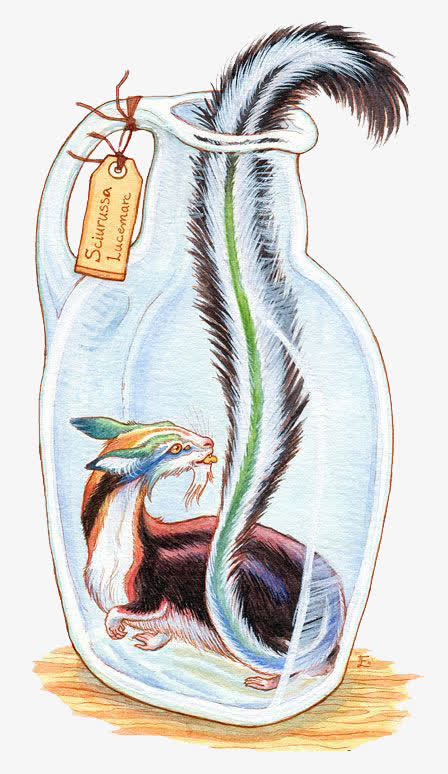 装在瓶子里的动物