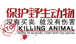 保护野生动物