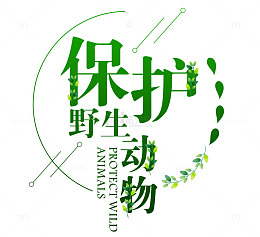 保护野生动物