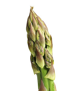 美味蔬菜笋尖