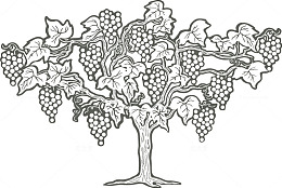 手绘葡萄树果实图案