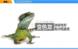 变色龙式配合