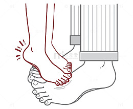 两双脚矢量