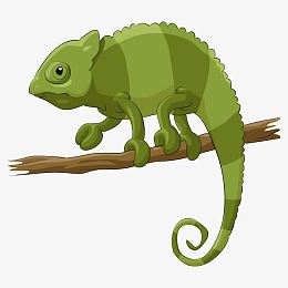 矢量绿色蜥蜴