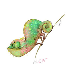 蜥蜴