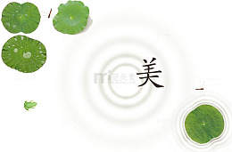 荷塘美景