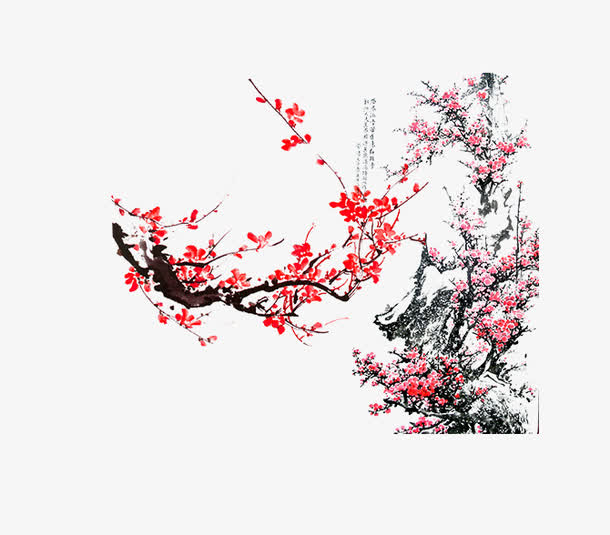 手绘梅树