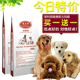 宠物店宣传单狗狗猫咪