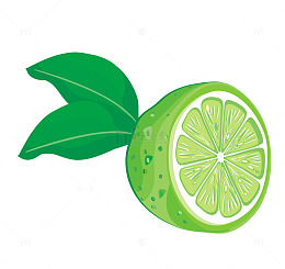 手绘切开的柠檬矢量图