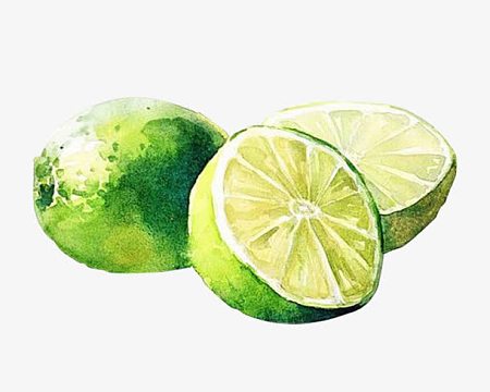 手绘青柠檬png鸡尾酒png矢量图水彩卡通青柠aipng矢量手绘青柠png柠檬