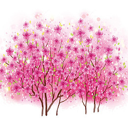 花树