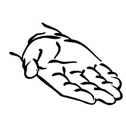 手指托拳