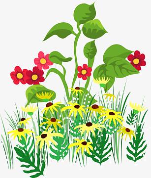 彩色卡通花朵图案