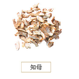 知母