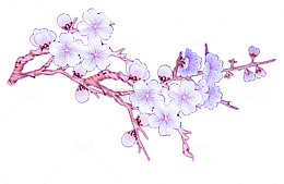 一支紫色梅花