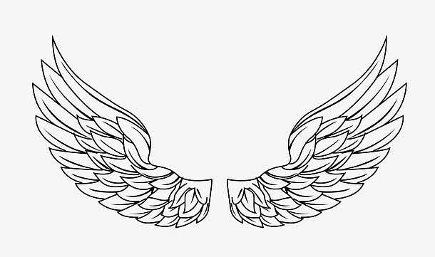 手绘线条翅膀