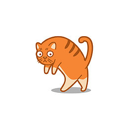 跳起来的猫