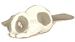 手绘卡通可爱猫咪