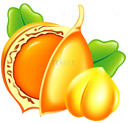 零食图案坚果素材 