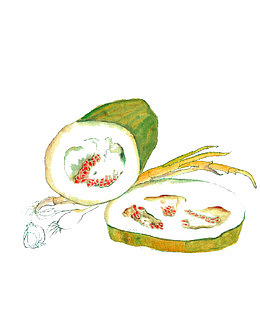手绘冬瓜