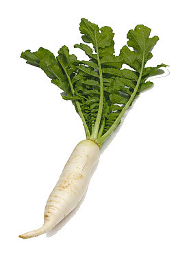 白萝卜真有营养