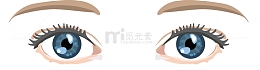矢量鼠绘眼睛