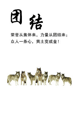团队的力量