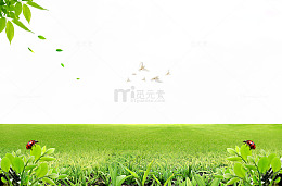 草地风景