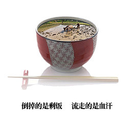 珍惜粮食标语