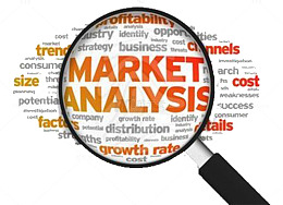 放大镜市场调研素材