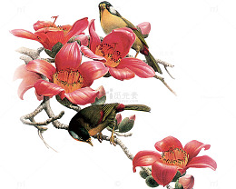 杜鹃花