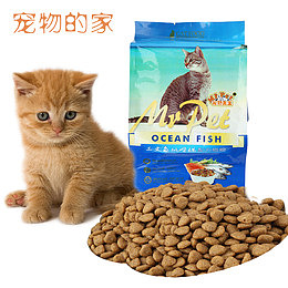 宠物的家宠物店宣传单