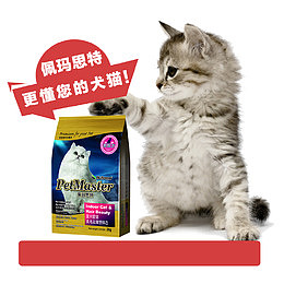 猫粮宠物店宣传单