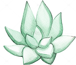 绿色水墨莲花