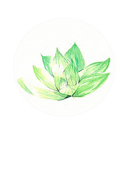 绿色莲花