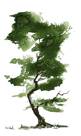 树