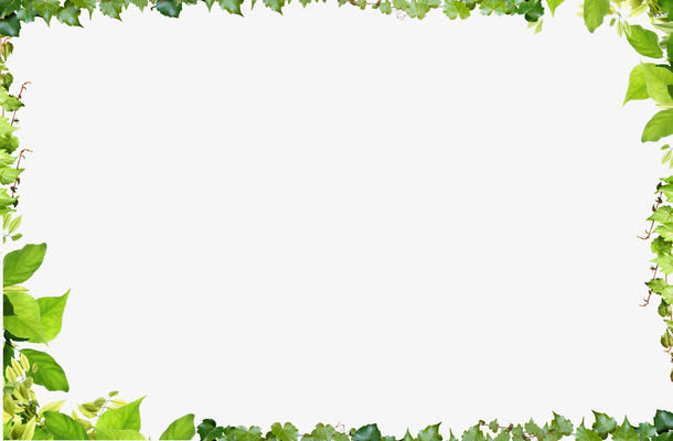 绿叶边框素材免费下载_觅元素
