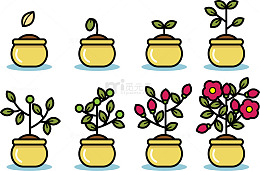 种植花朵