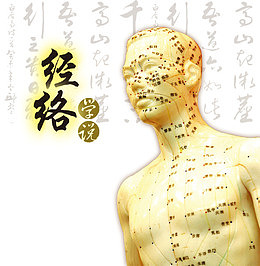 中医经络学说