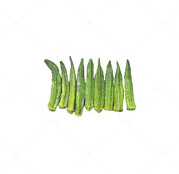产品实物一排秋葵