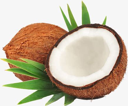 新鲜椰果肉png水果插画psdpng手绘椰果素材png美味的食品美食设计矢量
