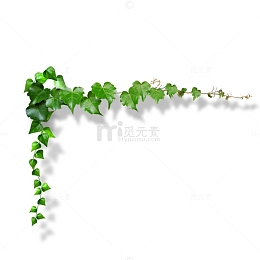 滕蔓边框免抠素材